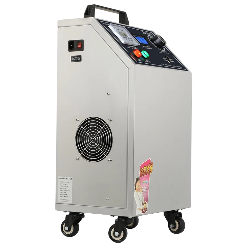 10 г генератор озона концентратор кислорода Пищевая Фабрика фермы машина