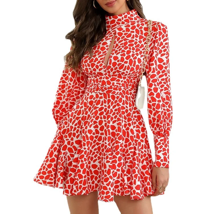 

2021 summer new long-sleeved printed dress with big swing dress for women