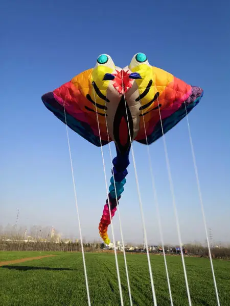 Большой воздушные змеи для взрослых Однолинейный воздушный змей нейлоновая