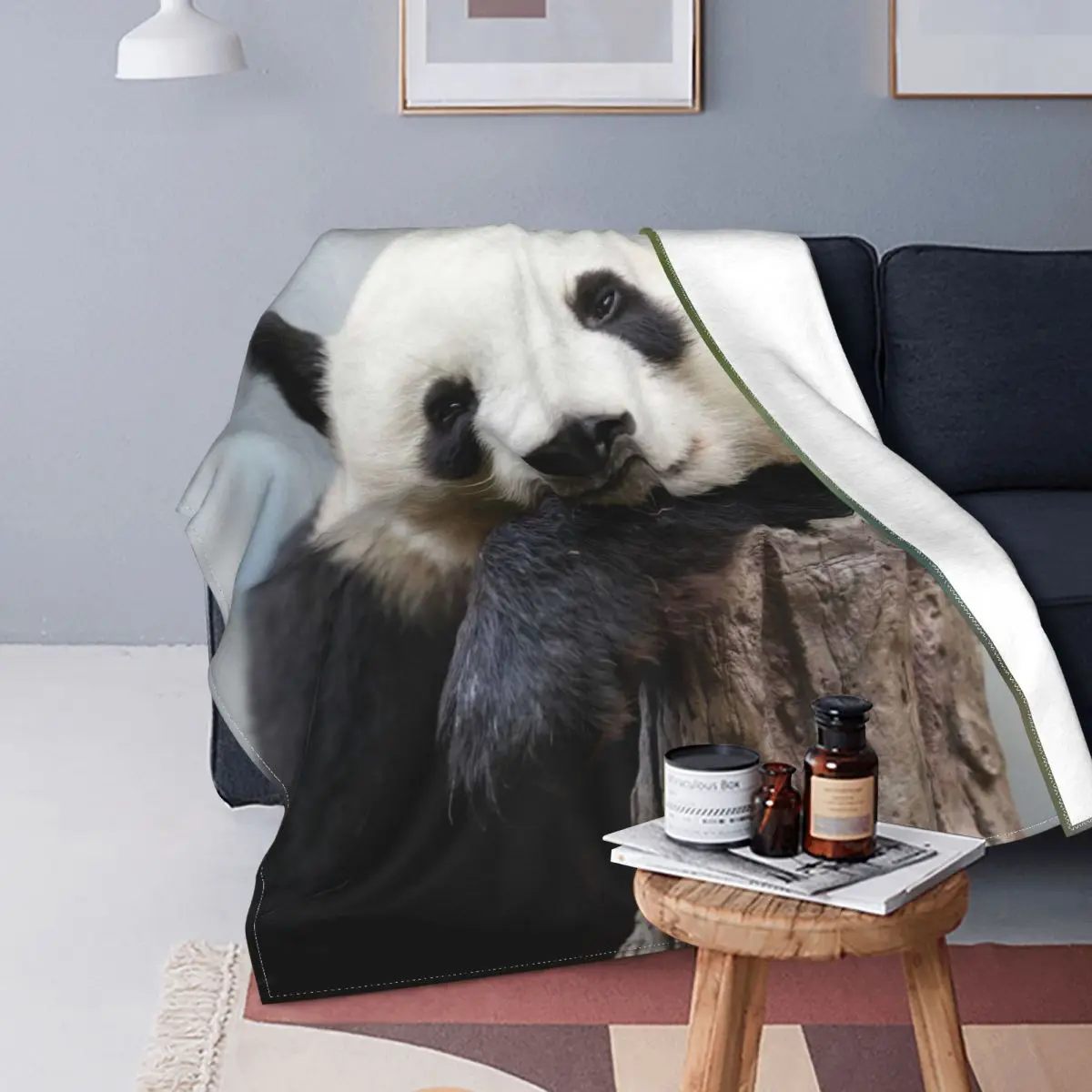 

Lovely Panda Blanket Cute Animal Modern Stitch Cotton Breathable Flannel Throw Blankets For Bedding Travel