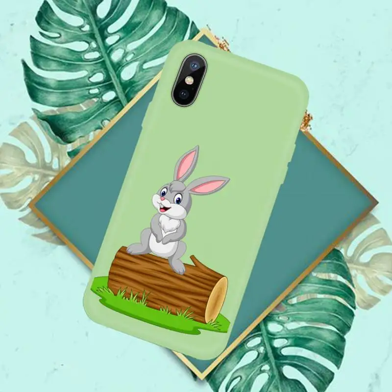 

Cute cartoon Rabbit pink heart Phone Case Green Candy Color for iPhone 11 12 mini pro XS MAX 8 7 6 6S Plus X SE 2020 XR