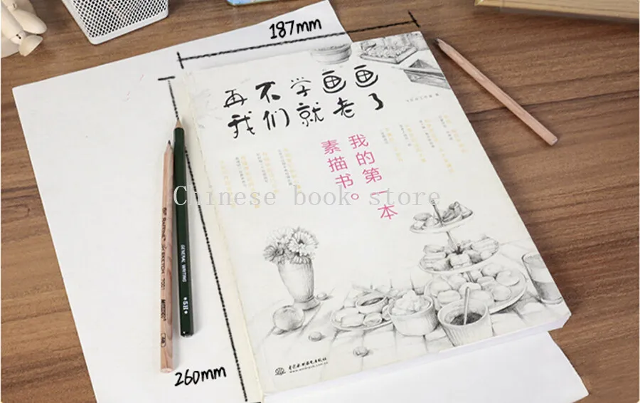 Китайская книга для рисования карандашом базовая начинающих от Feile Bird My first Sketch