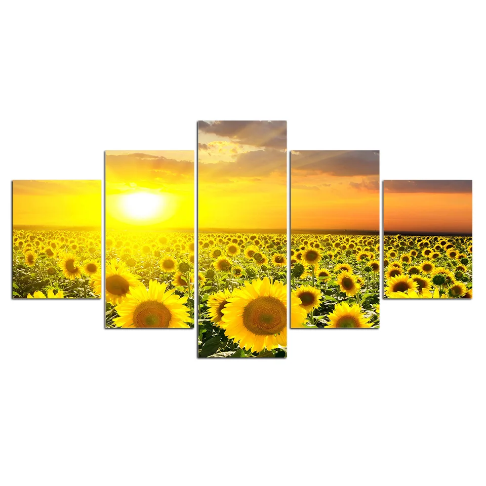 

Canvas Home Decor Sun Flower Paintings Wall Art Prints Natural Scenery Poster 5 Panel Modular Bedside Background framework