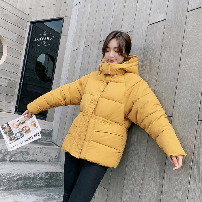 Модная одежда толстый пуховик на талии куртка из хлопка 2019 зимняя пальто для