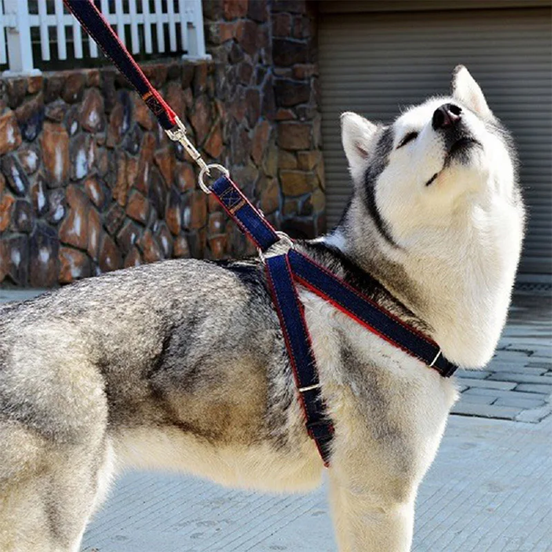 TTLIFE красный/синий джинсовый материал регулируемый ошейник и поводок для щенков