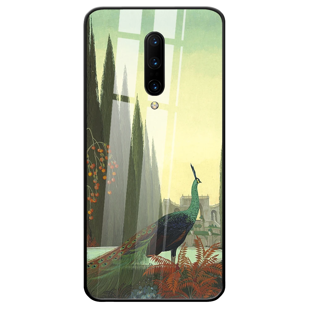 Чехол для телефона OnePlus 7 Pro 6T 6 5 T TPU чехол Павлин Печатный узор закаленное стекло |