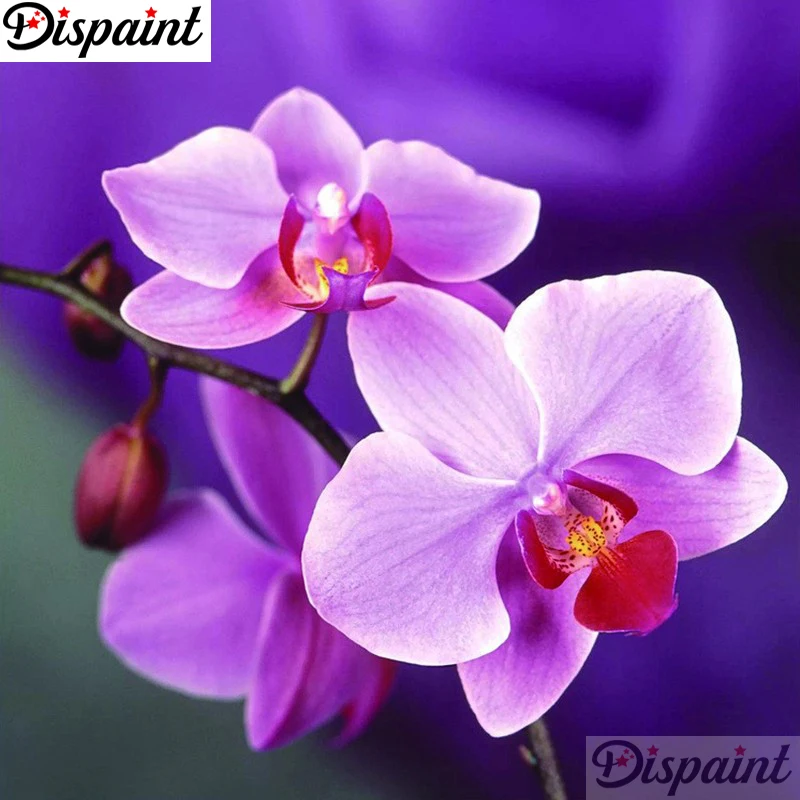 Алмазная вышивка Dispaint 5D алмазная Орхидея полностью круглая/квадратная картина