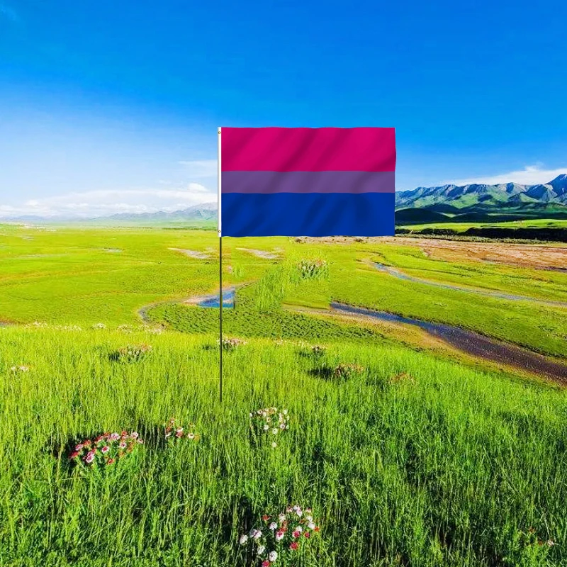 

12pcs Rainbow Flag Gay Pride Banner Flags LGBT Transgender Lesbian Gay Parade Banners Pride Flag 5ft*3ft90*150cm