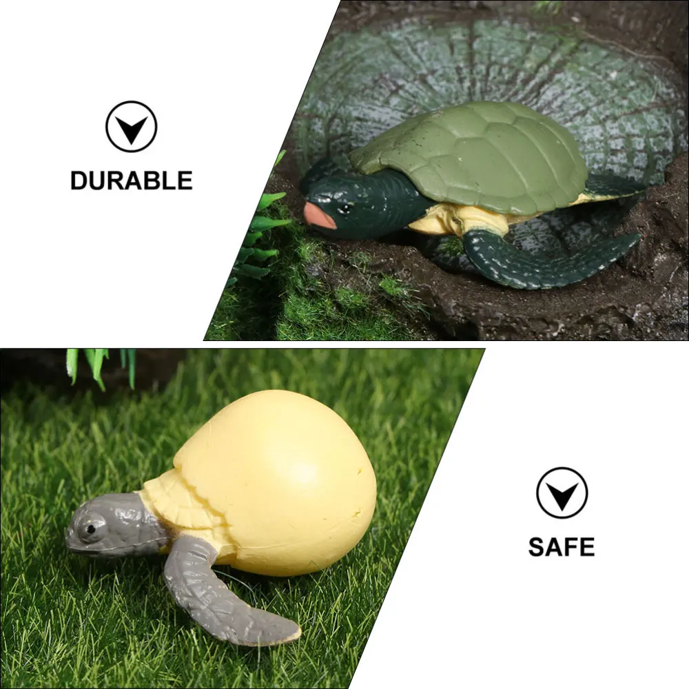 

2 Sets/8pcs Imitated Sea Turtle Life Cycle Figurine Funny Kids Cognitive