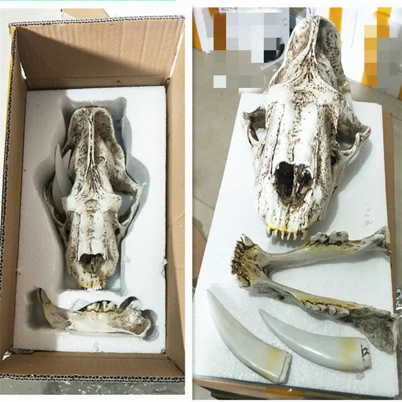 

[HHT] Resin Crafts Animal Skull Model Saber-toothed Tiger Skull Interior Office Home Decoration Halloween Decorations Props