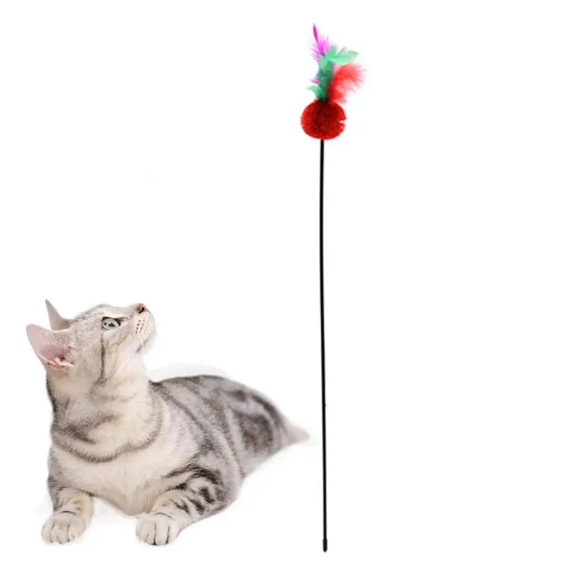 

Legendog 1pc Cat Pom Pom Decor Teaser Toy Creative Interactive Cat Feather Wand Kitten Teaser Toy Pet Supplies Random Color