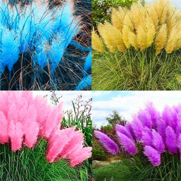 100 шт пампасы Декоративные искусственные кашпо| |