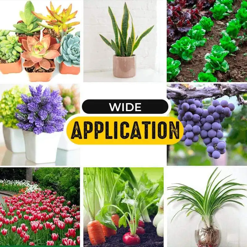 

Rapid rooting powder plant growth regulator for Seedling bonsai tree cutting fungicide rooting hormones foliar fertilizer 30g