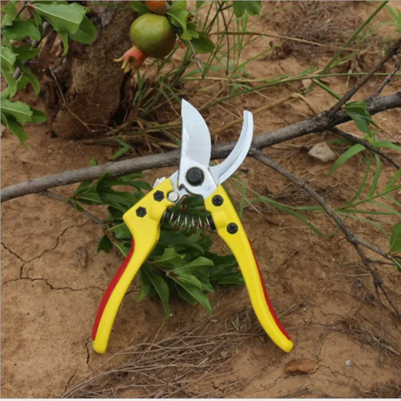 

SK5 Fruit Shears Gardening Shears Pruning Branches Pruning Scissors Hand Scissors Garden Scissors Labor Saving Rough Branches