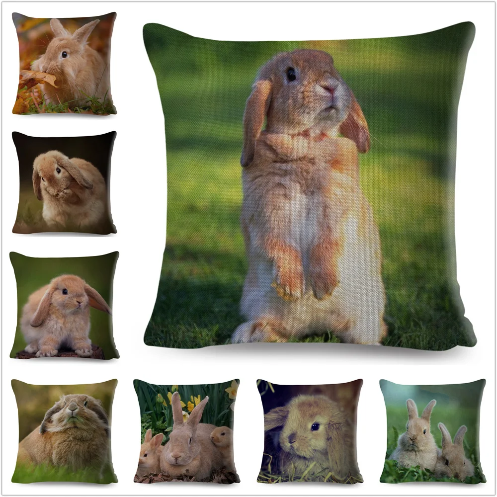 

Cute Rabbit White Bunny Cushion Cover for Sofa Car Home Decor Pet Animal Hare Pillow Case Polyester 45x45CM Pillowcase