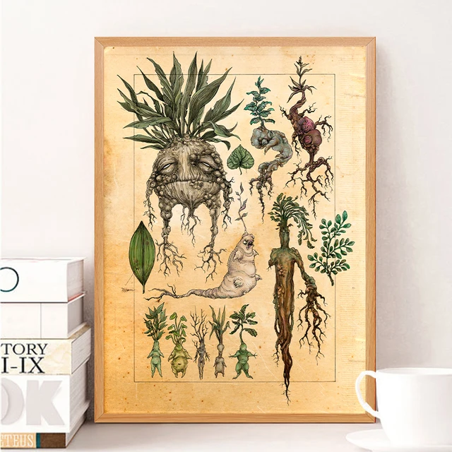 Harry fã ilustração da arte bonito mandrake planta decoração da lona pintura  parede imagem, filme clássico