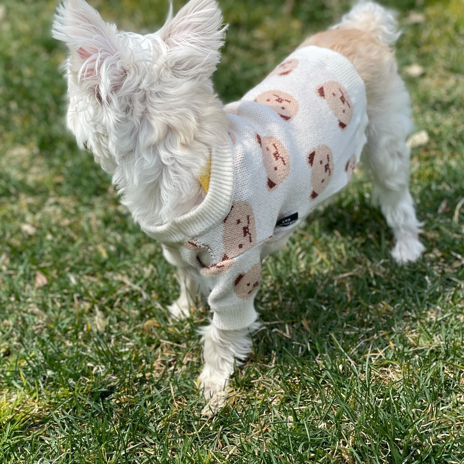 Одежда Ins для собак милая яркая жилетка с медведем костюм кошки маленьких и