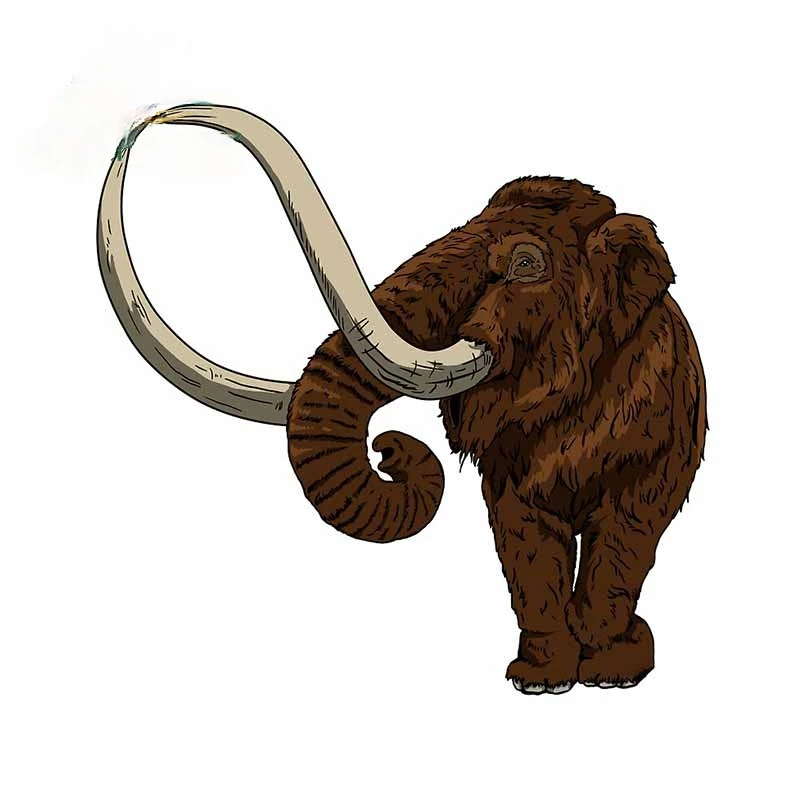 

For Mammoth Car Sticker Personality Camper Decal Refrigerator Silhouette Fine Windows Vinyl Walls Doors Car Wrap 12*12cm