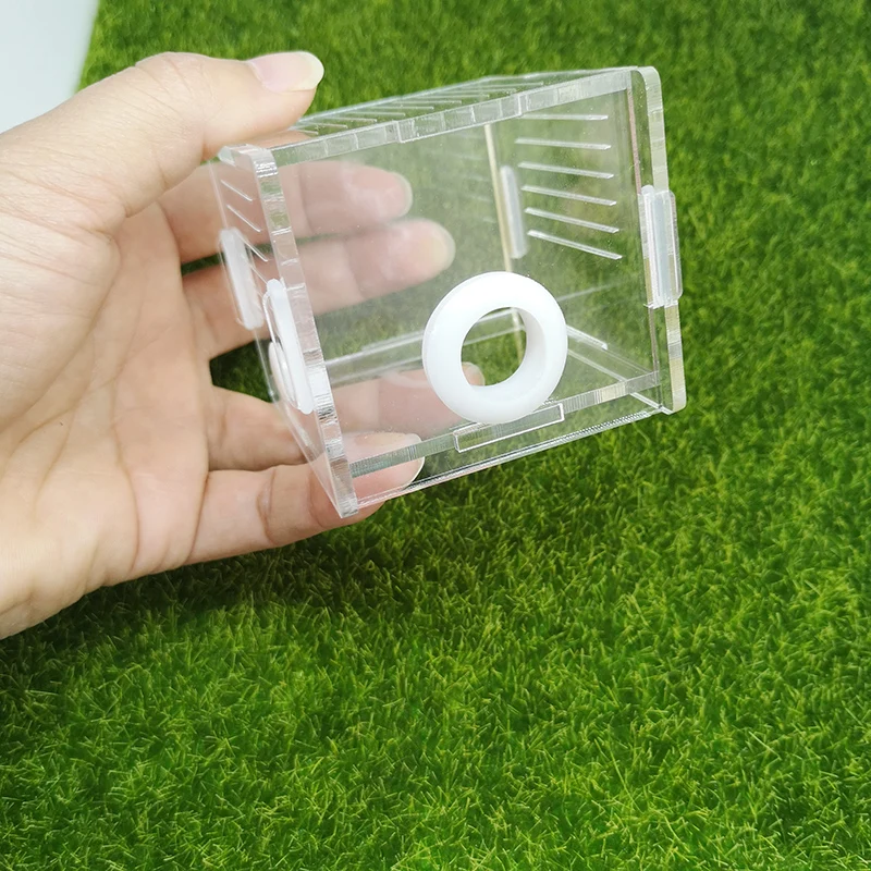 Акриловое Муравьиное гнездо квадратная муравьиная ферма зона активности