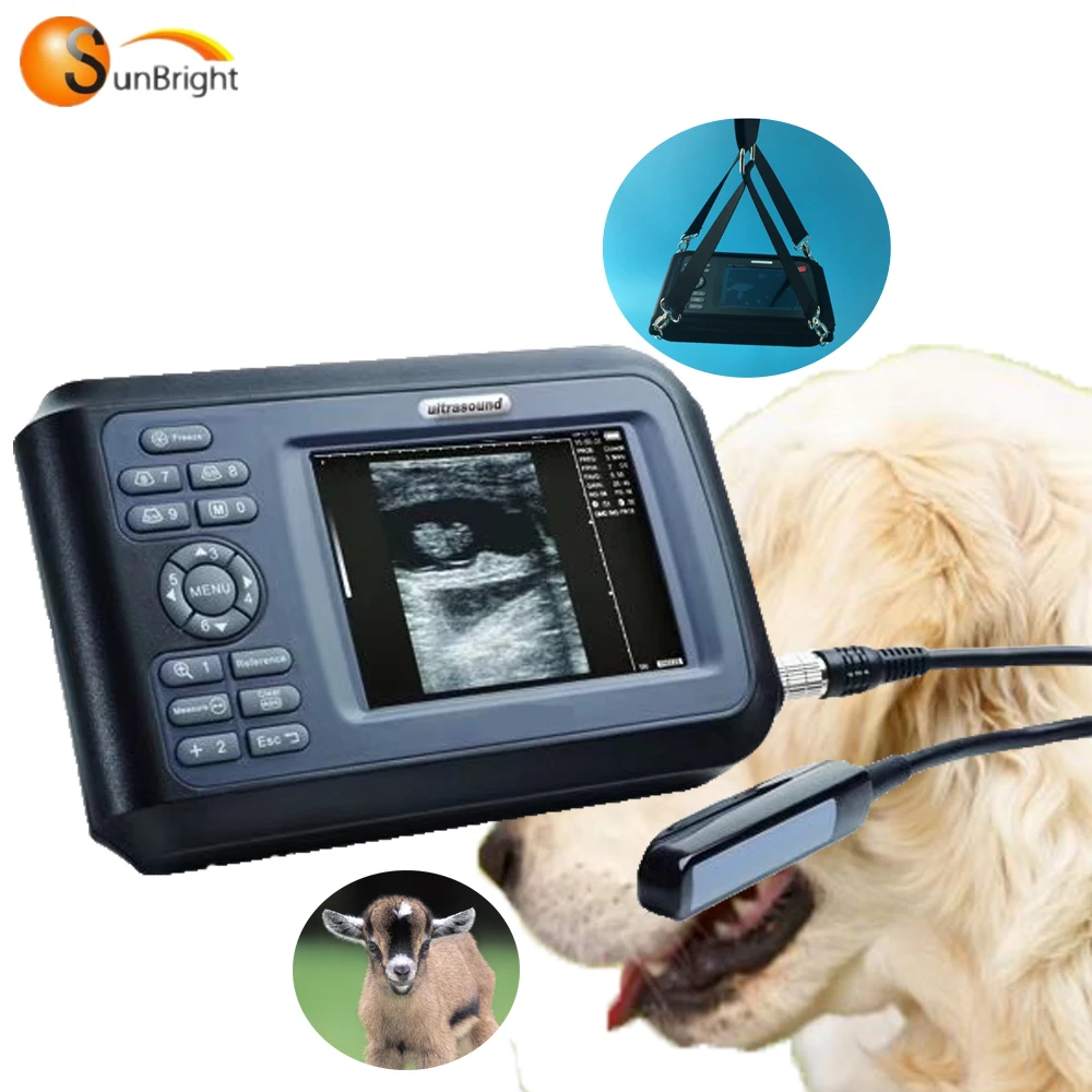 

Handheld vet portable digital 5 inches ultrasound machine veterinary ultrasound SUN-808F