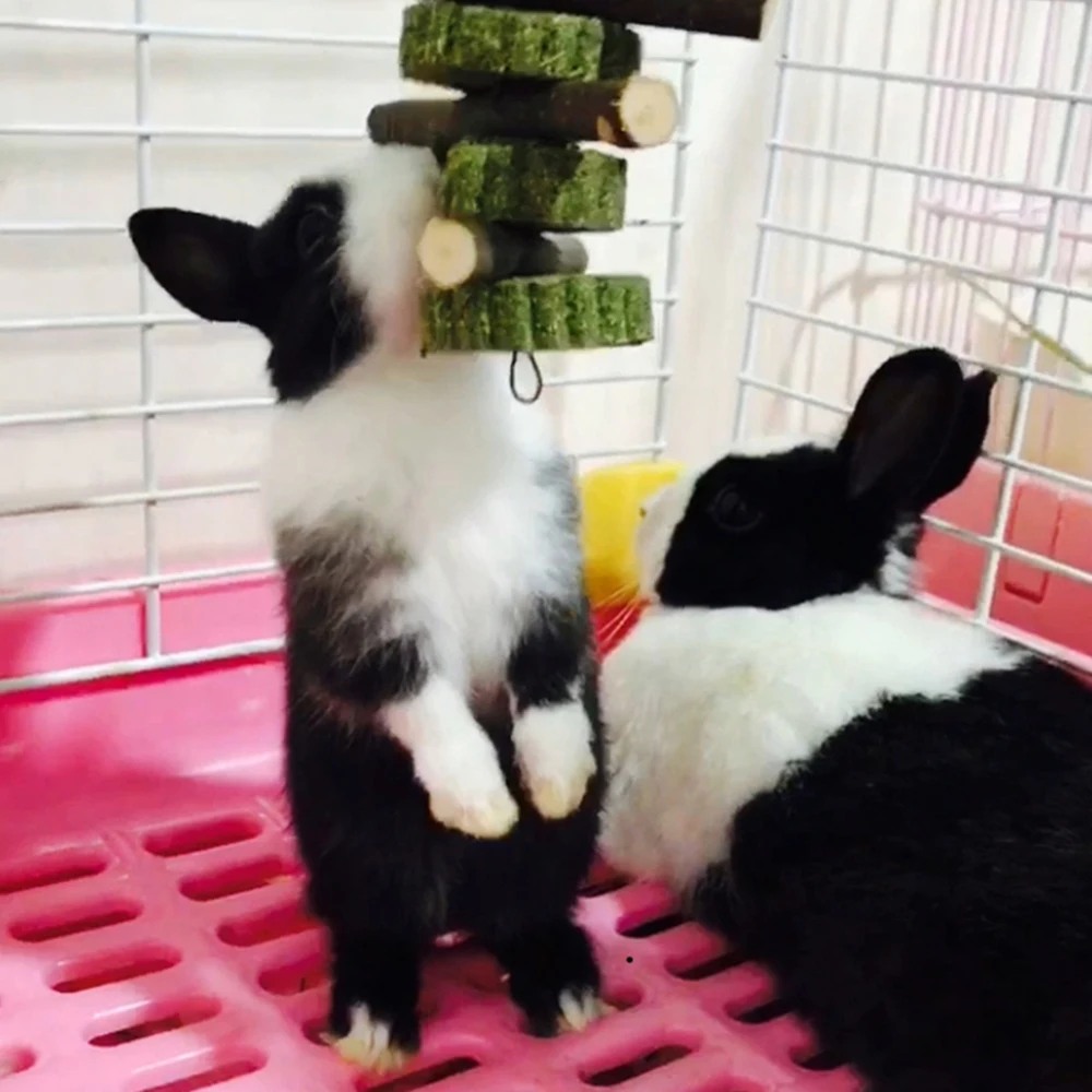 Маленькие товары для домашних животных хомяк кролик шиншиллязубы шлифовки