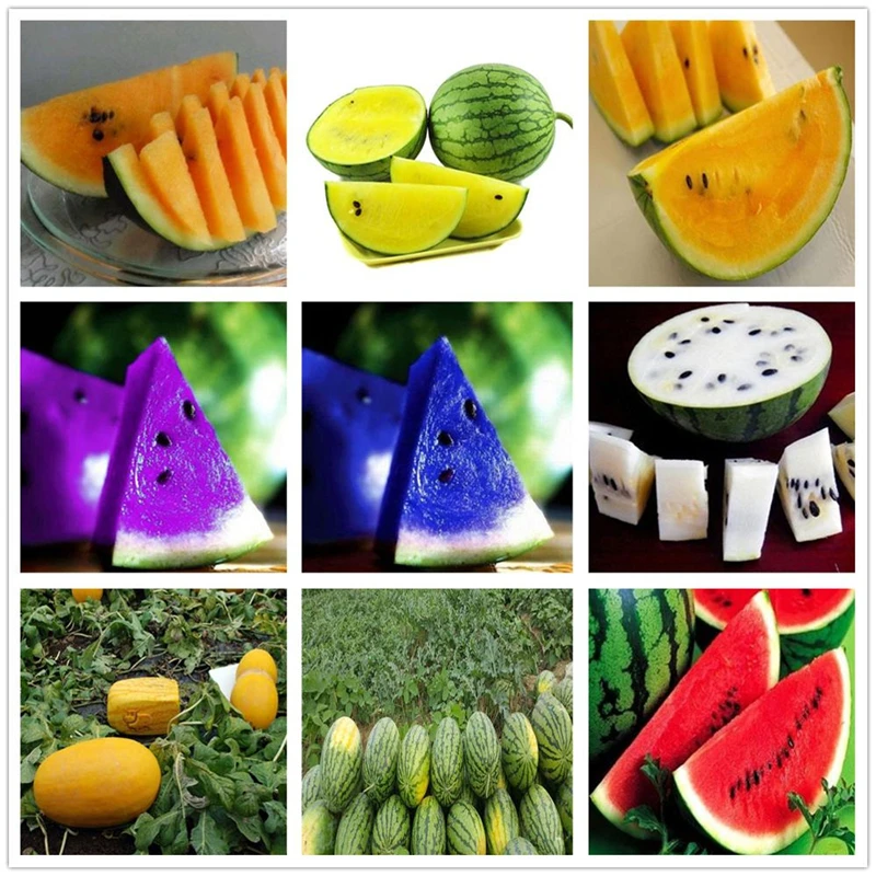 

20 шт., бальзам для губ в виде арбуза