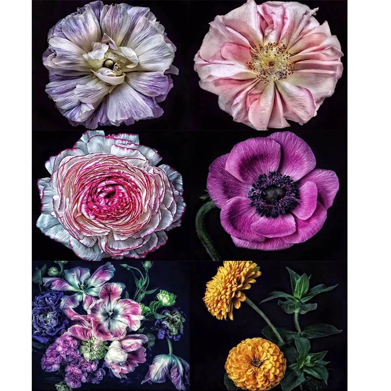 

Diamond Painting 5D Diamonds DIY Flower Cross Stitch Full Square Round Embroidery Colorful Handmade Home Room Wall Decor