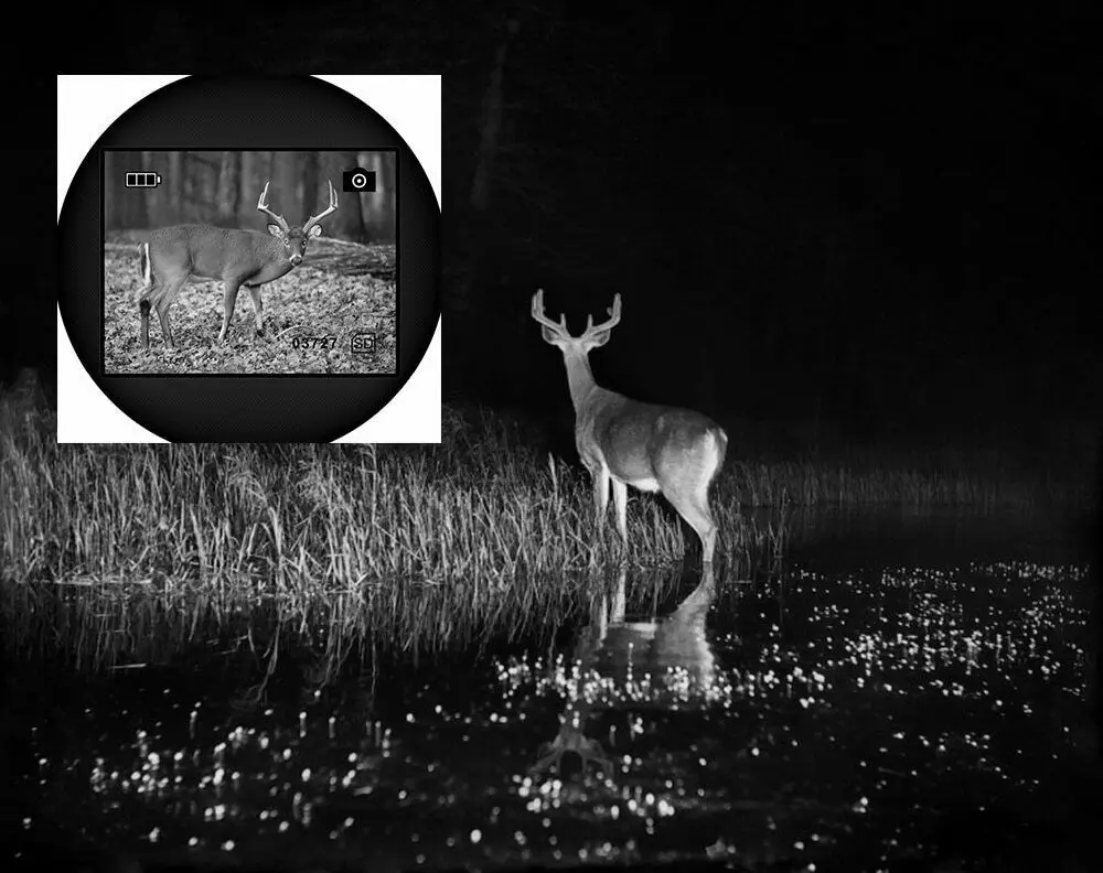 тепловизор для охоты Охотничий ночного видения телескоп цифровой Монокуляр