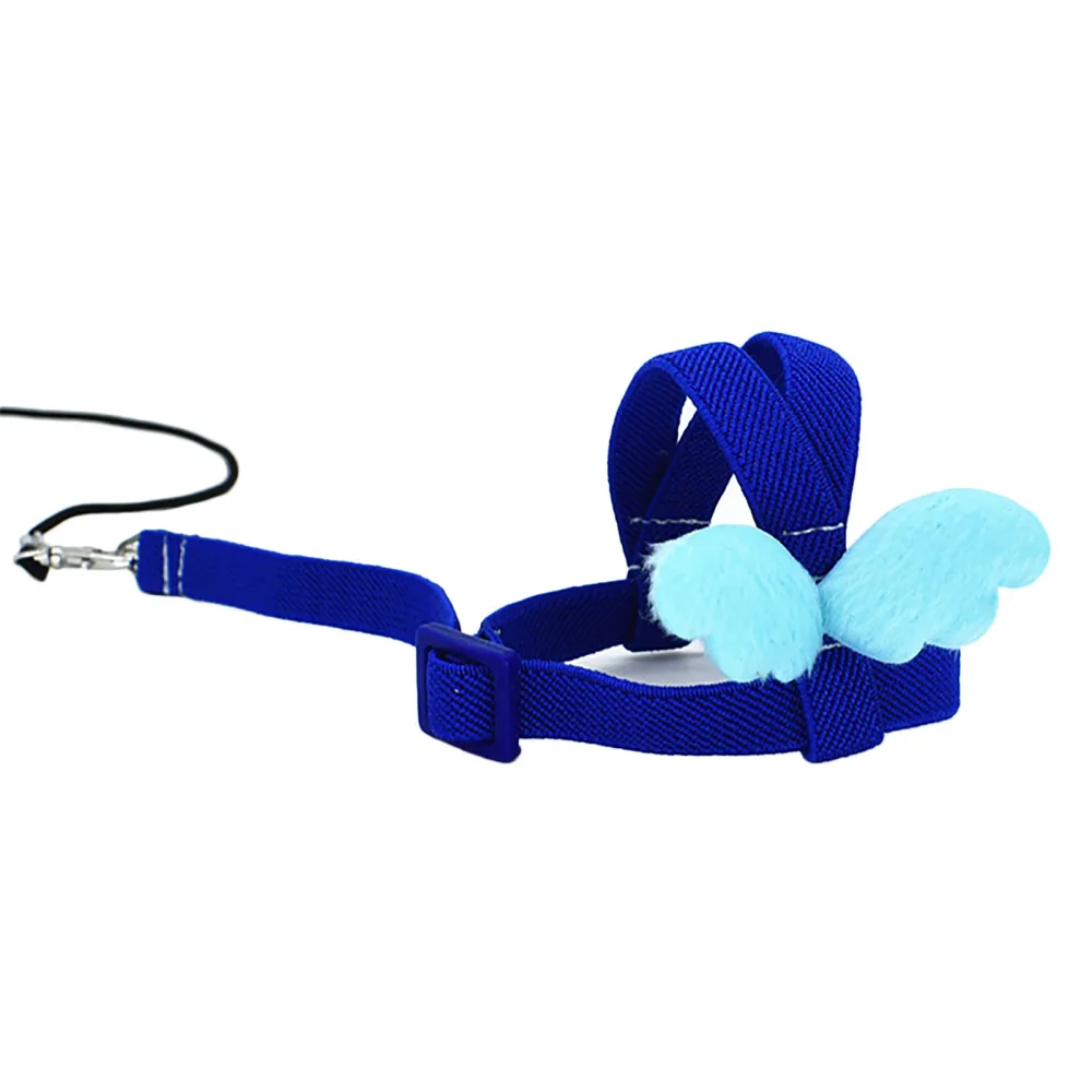 

Bird Harness Flying Training Rope Ultralight Harnesses Pet Supplies Parrots Elastic 6-foot Pigeons Nylon Leash Anti-bite