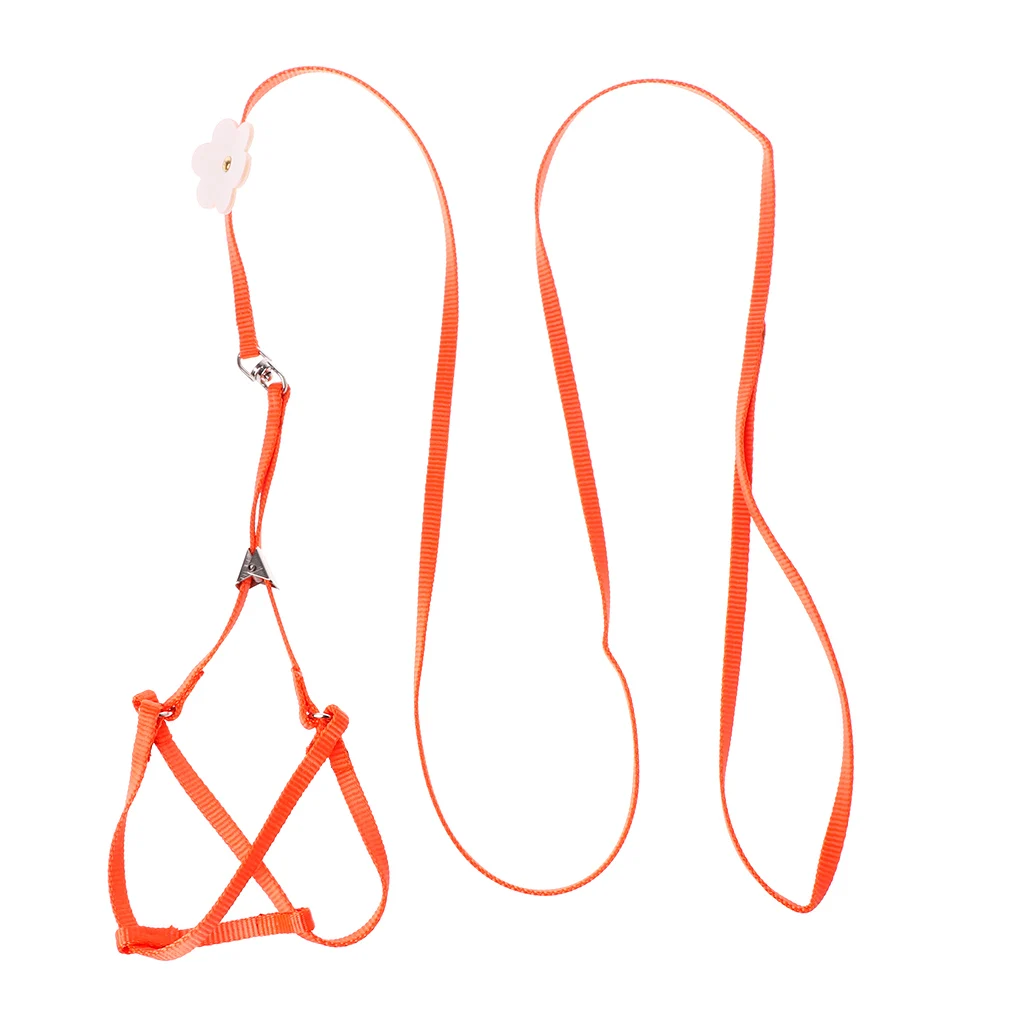 2020 Новый поводок для домашних животных маленькие домашние животные попугай