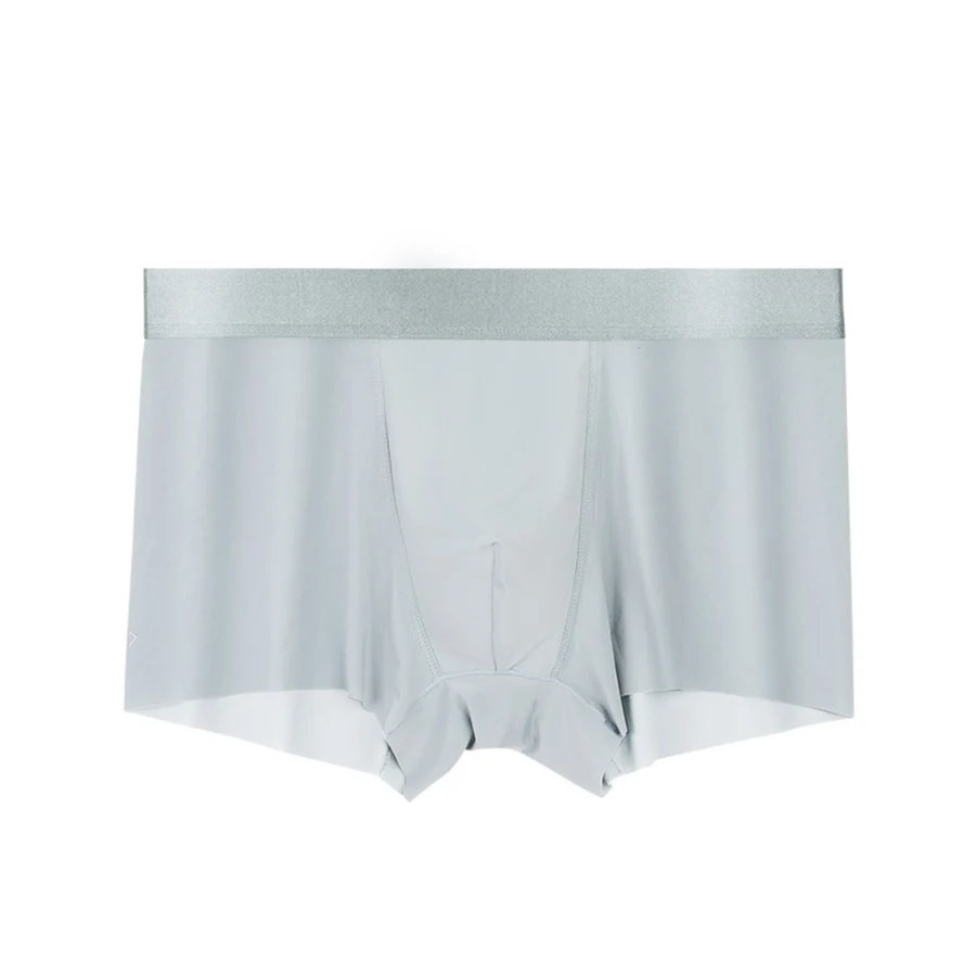 

Brand Men's Panties Summer Ice Silk Boxer Homme Briefs Men's Underwear 2021 New Sexy Shorts Man Underpants Calzoncillos Hombre