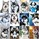 MomoArt Алмазная вышивка собака 5D DIY Алмазная мозаика Хаски алмазная картина животное картины стразами полная выкладка подарок ручной работы Украшение дома