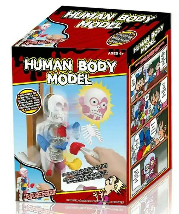 Обучающие ужасы, собранные игрушки, модель человеческого тела 4Dmaster, искусственная зеленая фотография