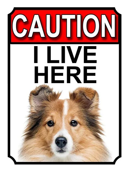 

Caution I Live Here Retro tin sign nostalgic ornament metal poster garage art deco bar cafe shop