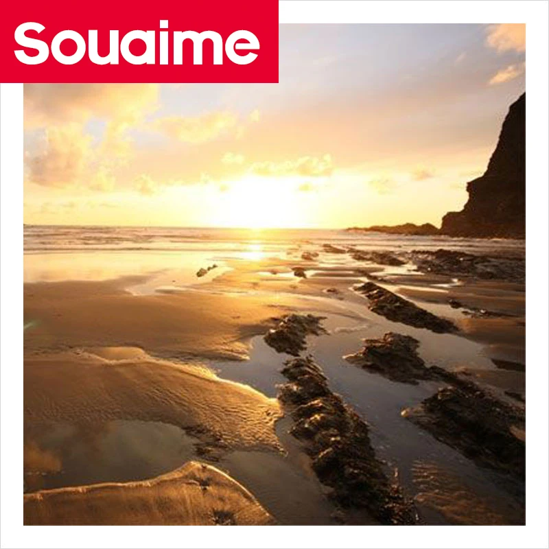 

5D DIY Diamond Painting Handmade Full Square/Round Sea Shell Embroidery Cross Stitch 3D Home Decor