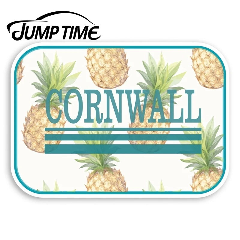 

Виниловая наклейка с изображением ананаса на окно автомобиля