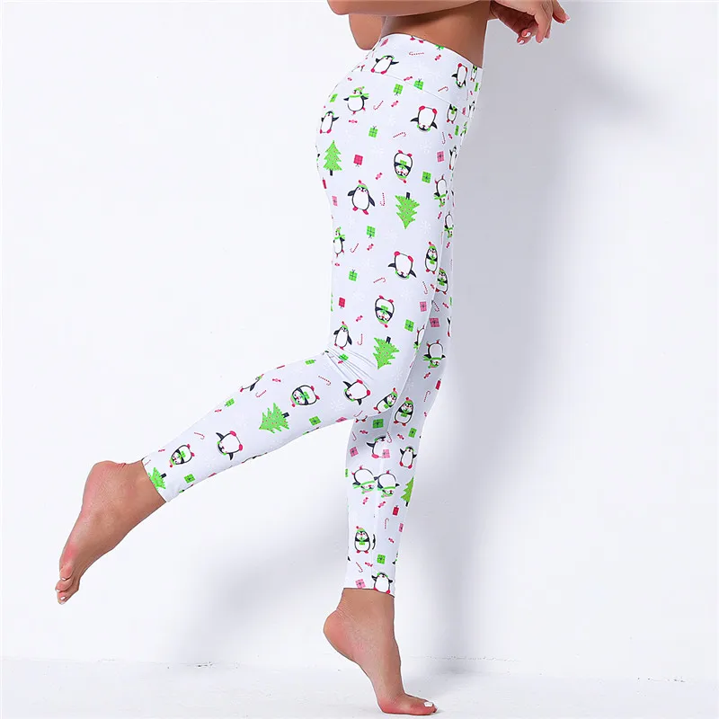 

Fitness & Body Building