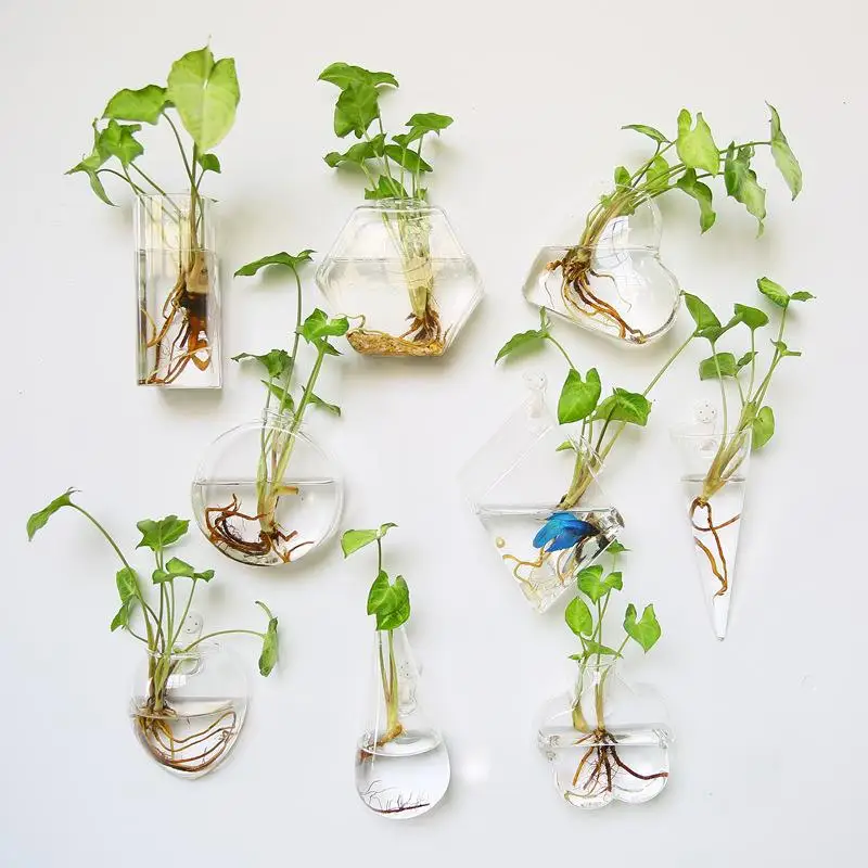 1 шт. настенная модная стеклянная ваза гидропоники Горшечное растение цветочный