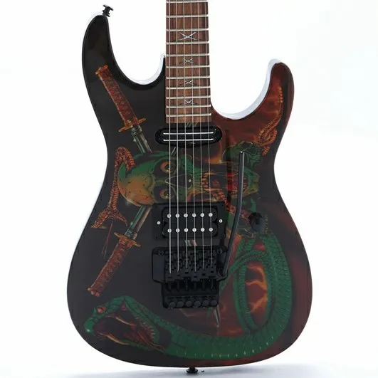 Электрогитара Skull& Snake Top липа тела Floyd Rose Bridge Pull/Push Swtich