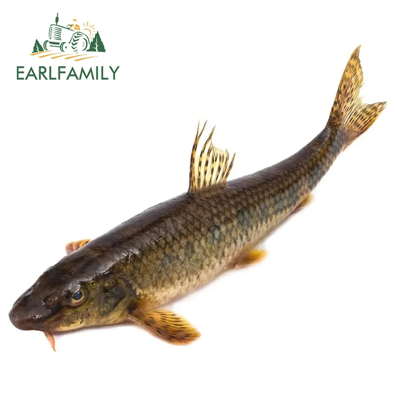 EARLFAMILY 13 см x 10 5 для ловли сома Фотофон автомобильная обмотка наклейка мотоцикла