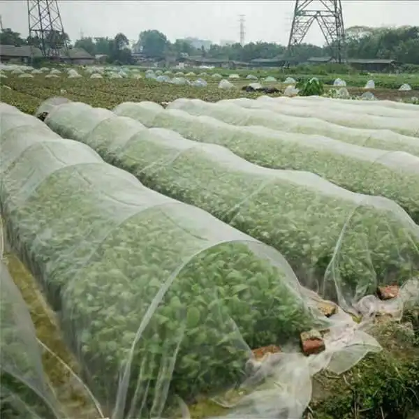 

60 Mesh Plant Crop Physical Insect-Proof Net, Insect Net, Gauze Net, Vegetable Pest Plant Crop Protection Net, 2.5X6M