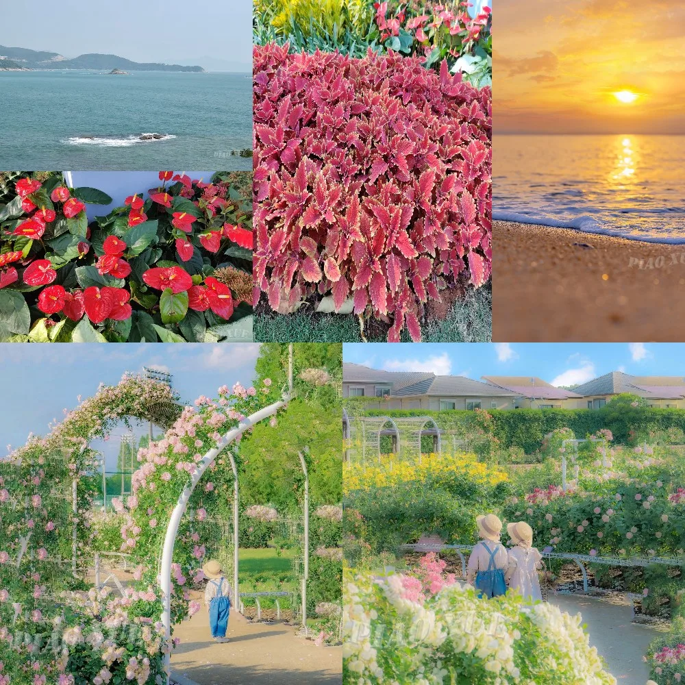 

Diamond Painting Scenery Take Beautiful Scenery Pictures At Will,And Customize A Square Diamond Cross Stitch Gift Box