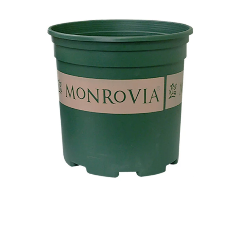 1 Gallon Plastic Garden Fat Pots Yangbaga Durable Nursery Pot Flower Container with pallets | Дом и сад