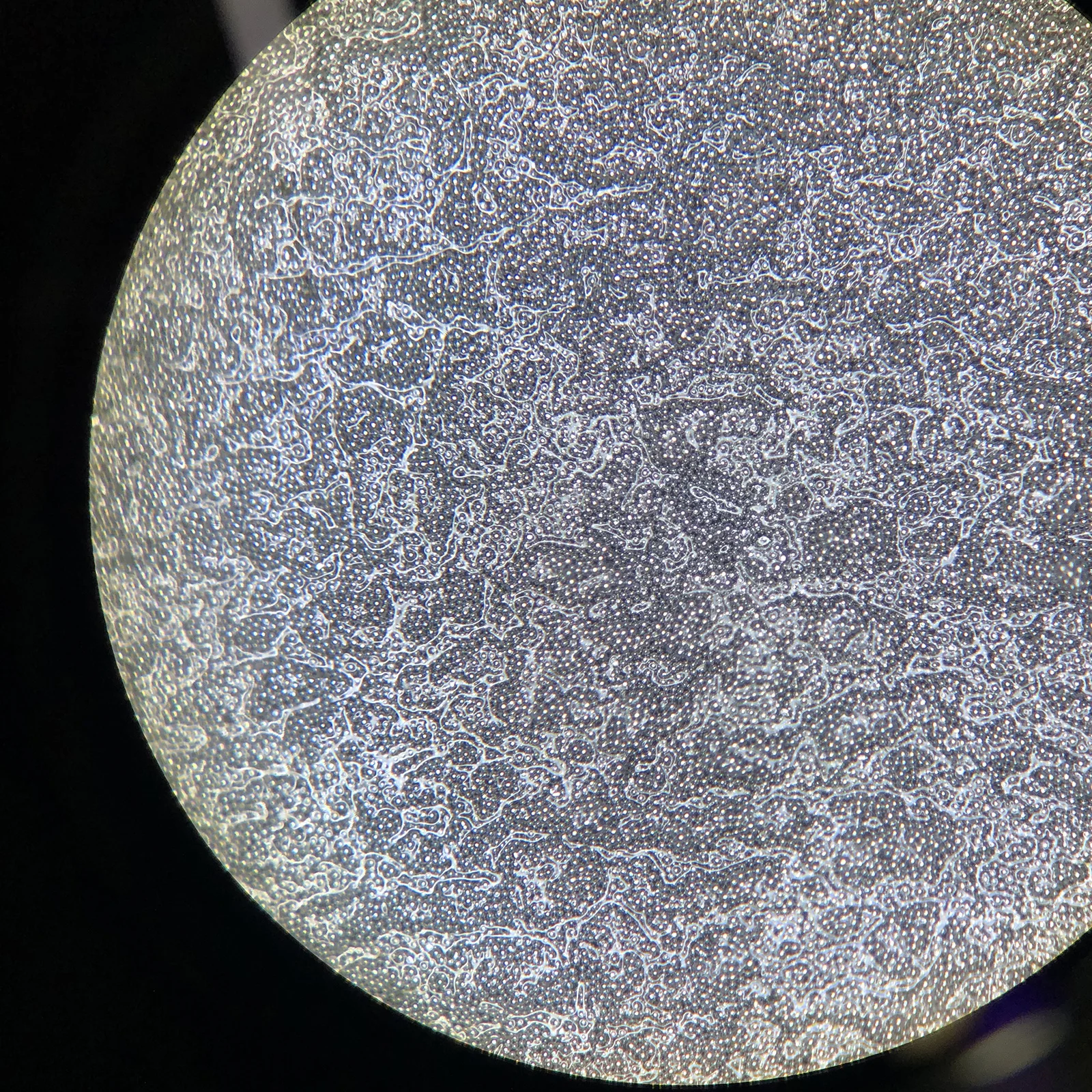 Мобильный телефон Hisi Qualcomm EMMC Steel Network Android бытовая машина сеть из оловянной стали