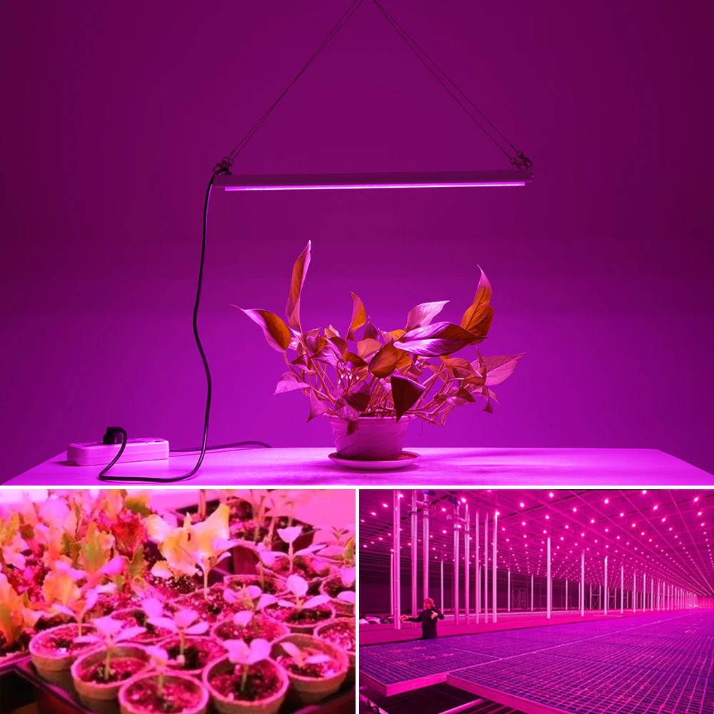 Крытый Phytolamp для растений 1000 Вт полный спектр светодиодный Grow светильник AC85 265V
