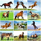 Evershine 5D Алмазная вышивка лошади картина стразами алмазная мозаика распродажа животные вышивка крестом рукоделие
