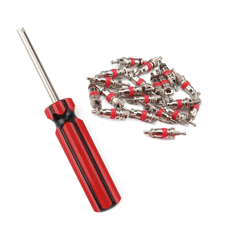 Высокое качество 20 шт. ядро клапана шины с набором инструментов для удаления GM