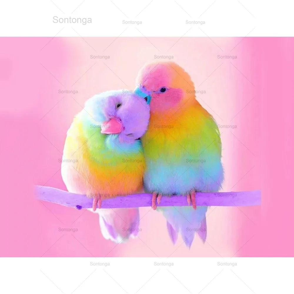 

Sontonga Diamond Mosaic Cross Stitch Kit Cartoon Colorful Bird 5D Diy Diamond Painting Full Drill Square Animals Paint Diamond