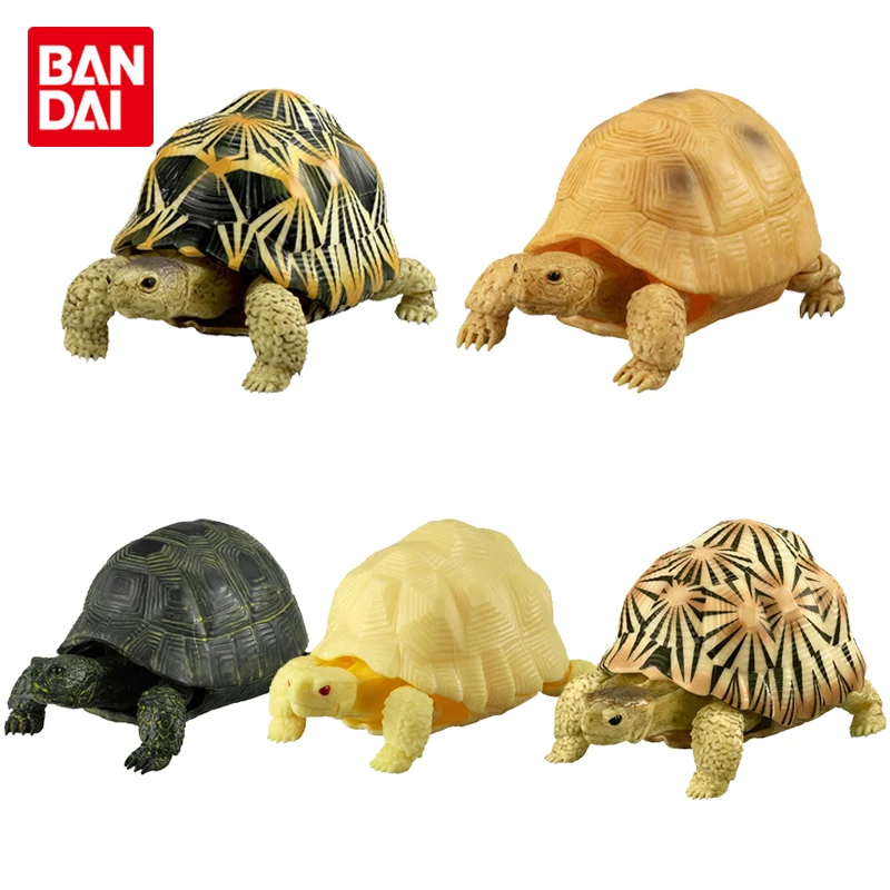 

Bandai натуральная игрушка гачапон морская черепаха деформации игрушка морские животные черепаха модель Украшение стола куклы