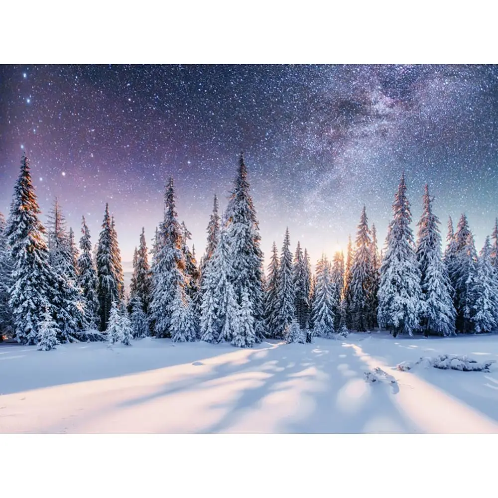 

ZHISUXI Vinyl Custom Photography Backdrops Prop Snow scene Photography Background 200509U-1